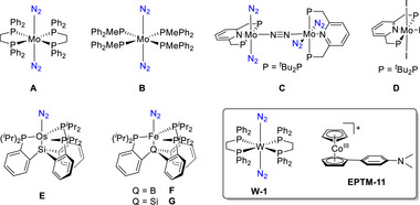 Figure 35