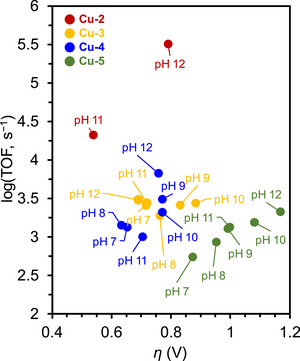 Figure 31