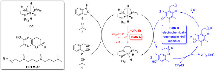 Figure 39