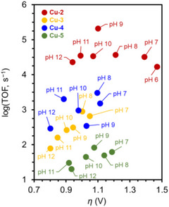 Figure 25