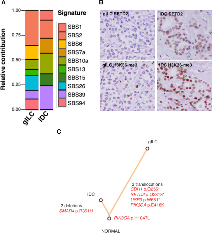 Figure 3