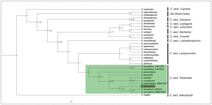Figure 1