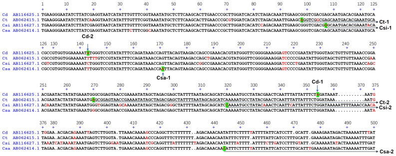 Figure 2