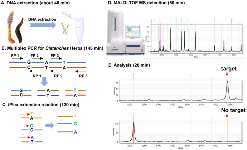 Figure 3