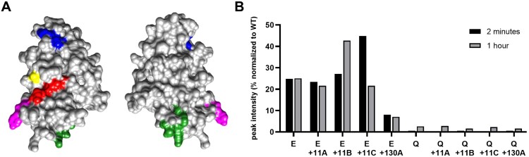 Figure 15