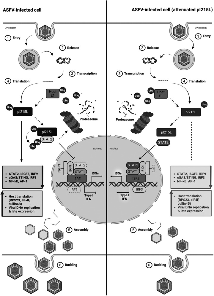 Figure 22