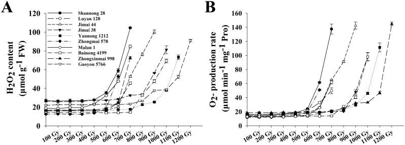 Figure 2