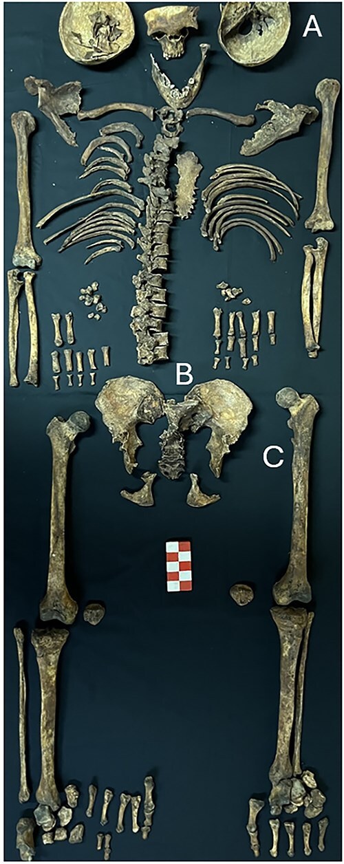 Figure 2