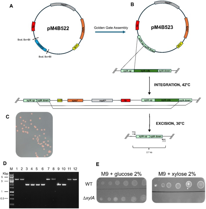 FIGURE 2