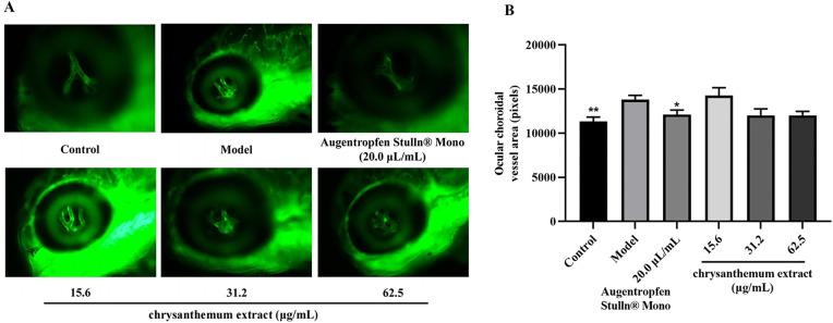 Fig 5