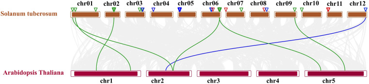 Fig 10