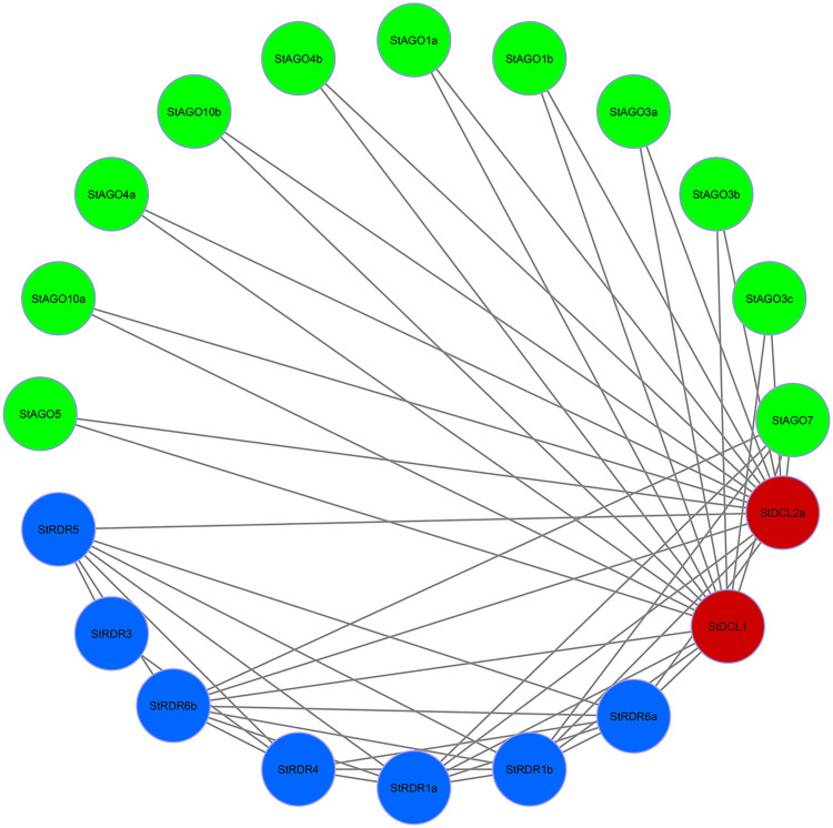 Fig 11