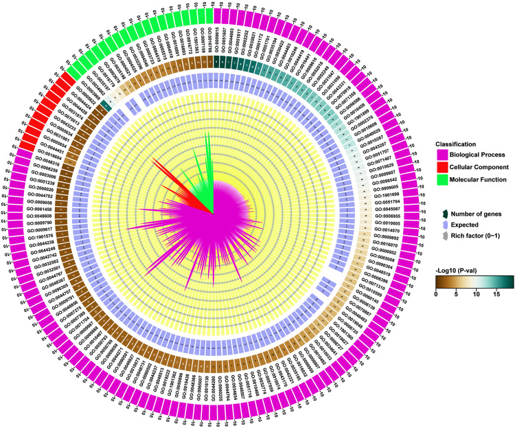 Fig 12