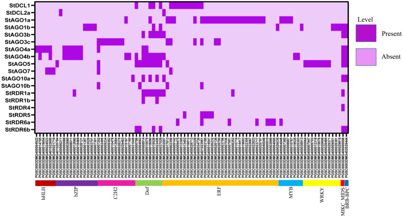 Fig 17