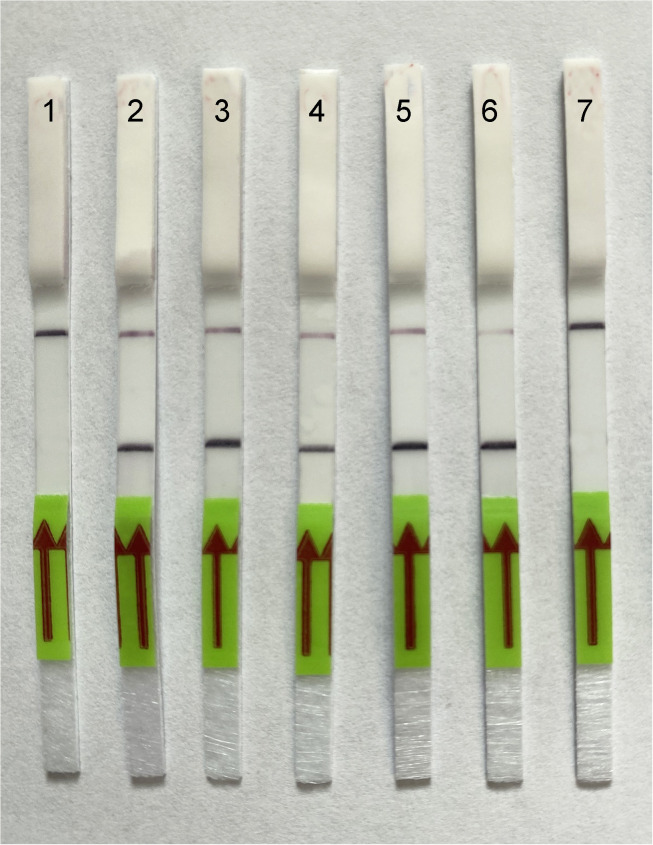 Fig 6