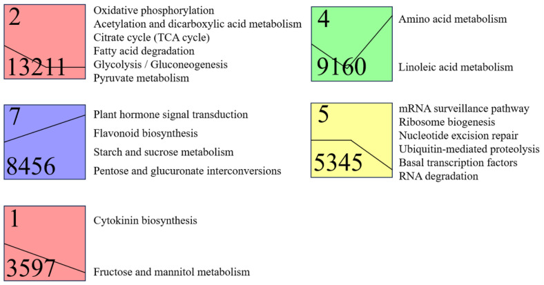 Fig 6