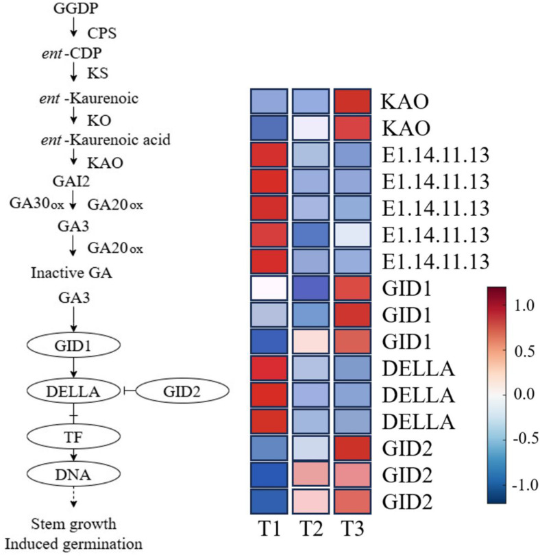 Fig 8