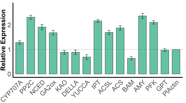 Fig 10
