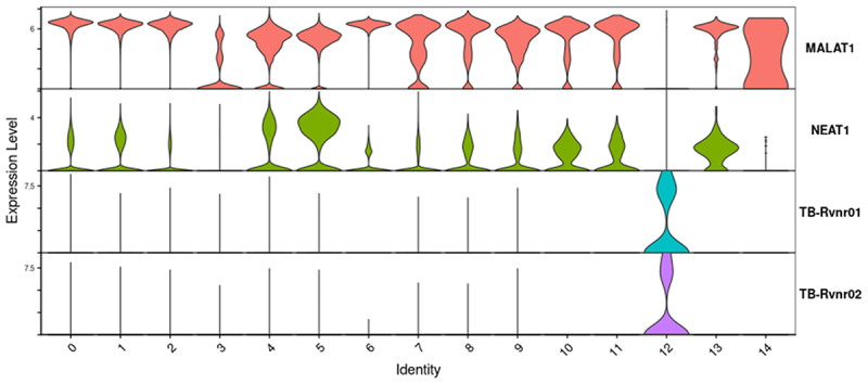 Figure 15