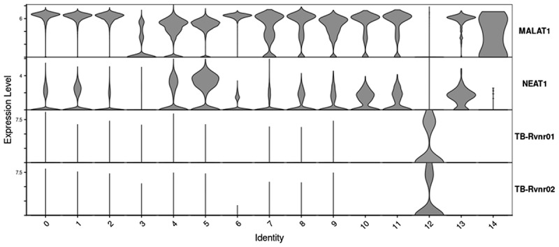 Figure 16