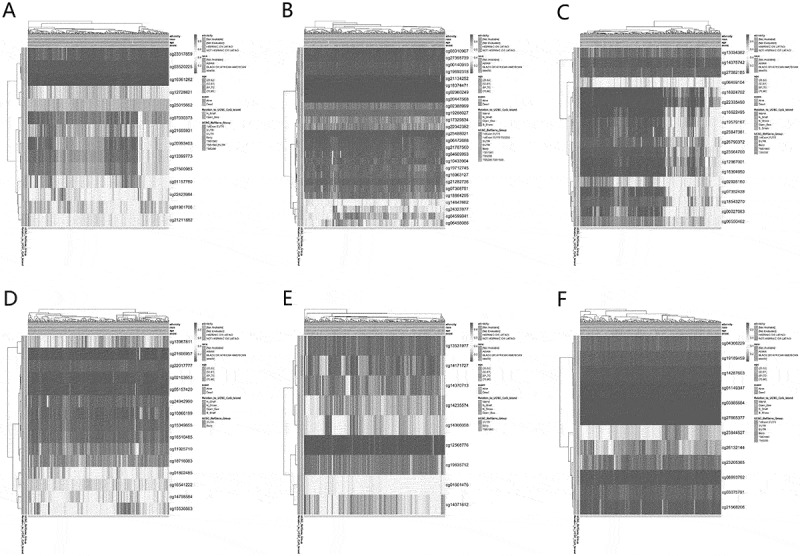 Figure 19