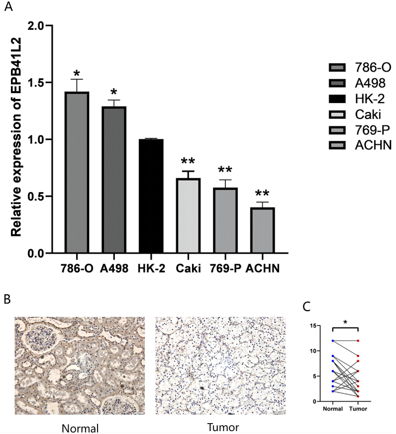 Figure 24