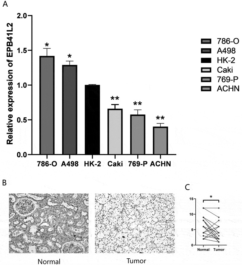 Figure 25