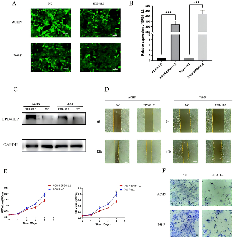 Figure 26