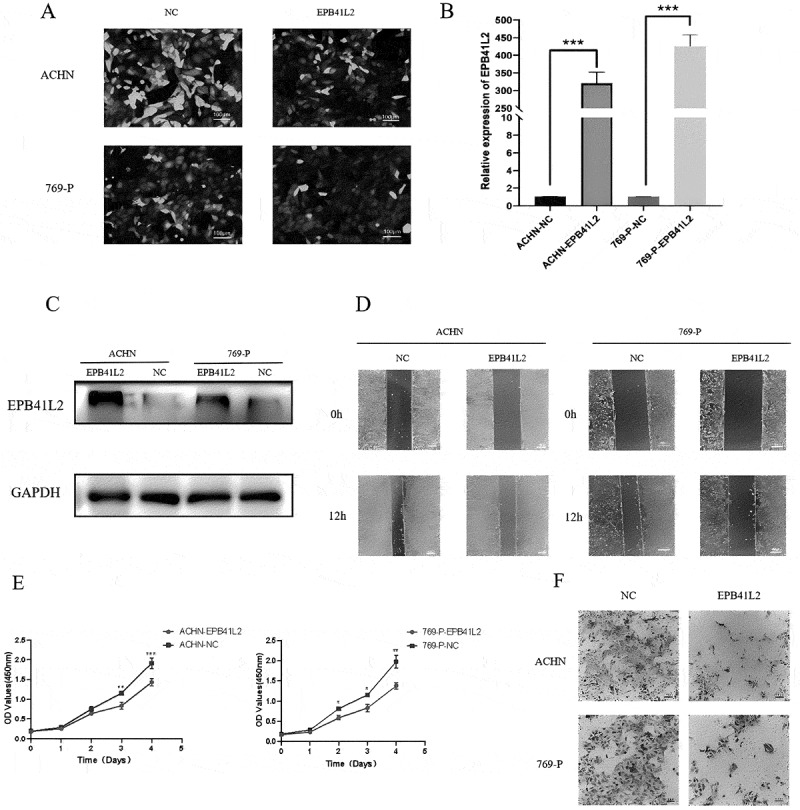 Figure 27