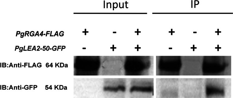 Figure 9