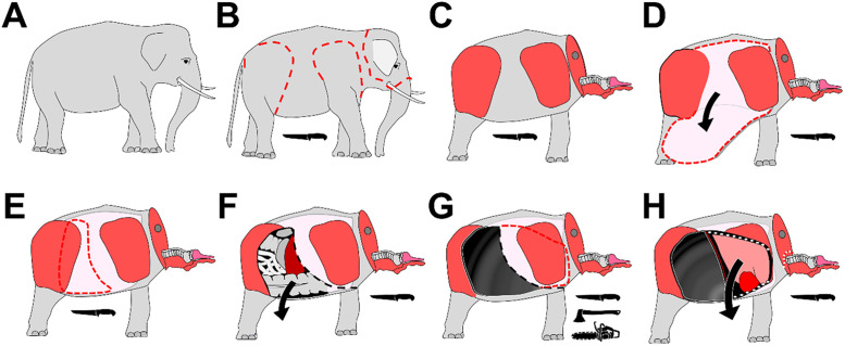 Fig 3