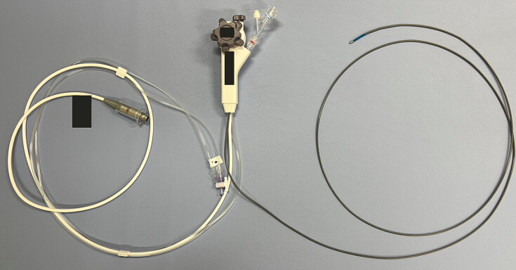 Fig. 1