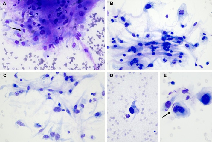 FIGURE 2