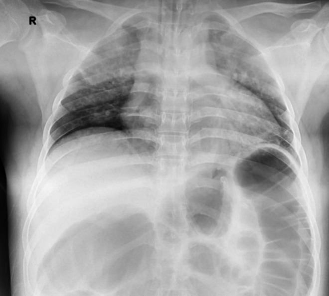 FIGURE 1