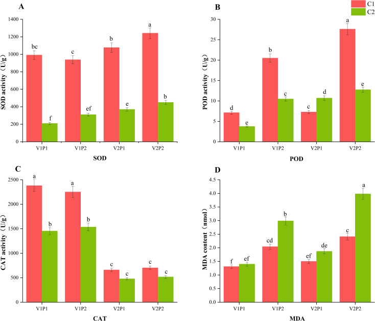 Figure 2