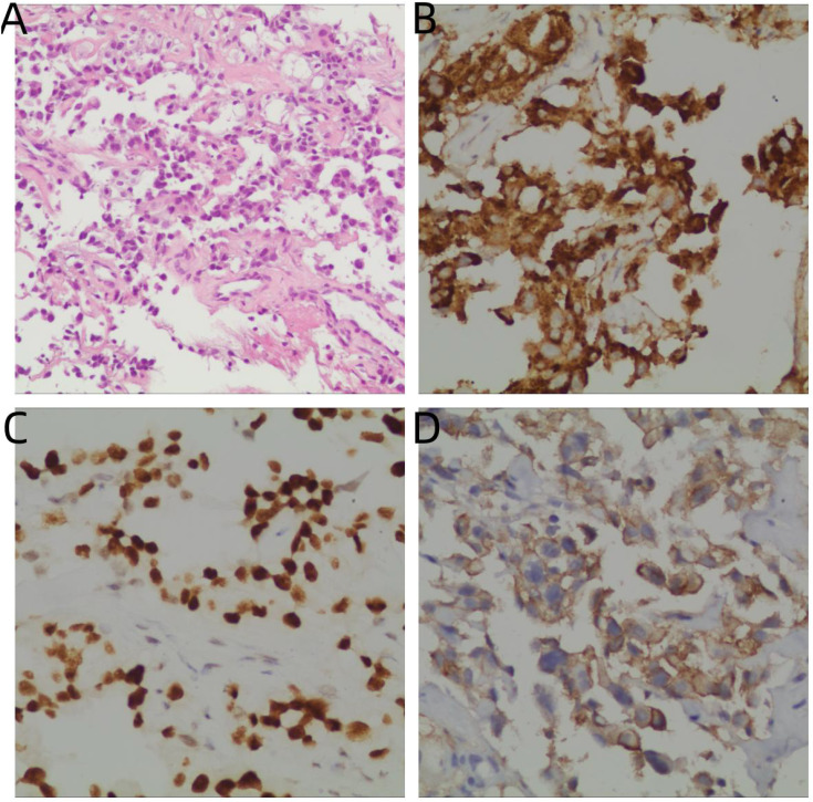 Figure 3