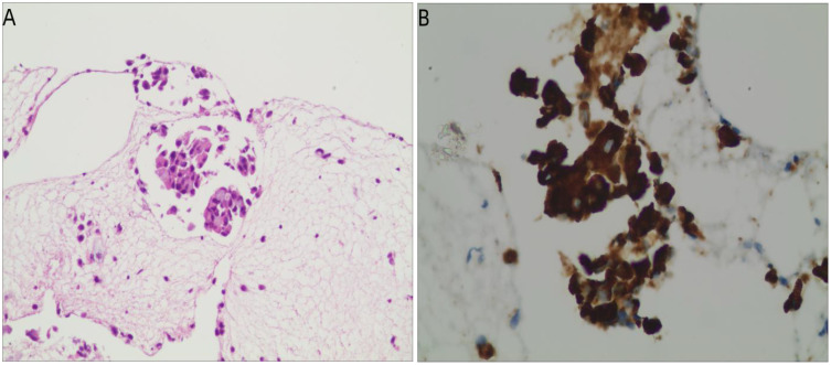 Figure 4