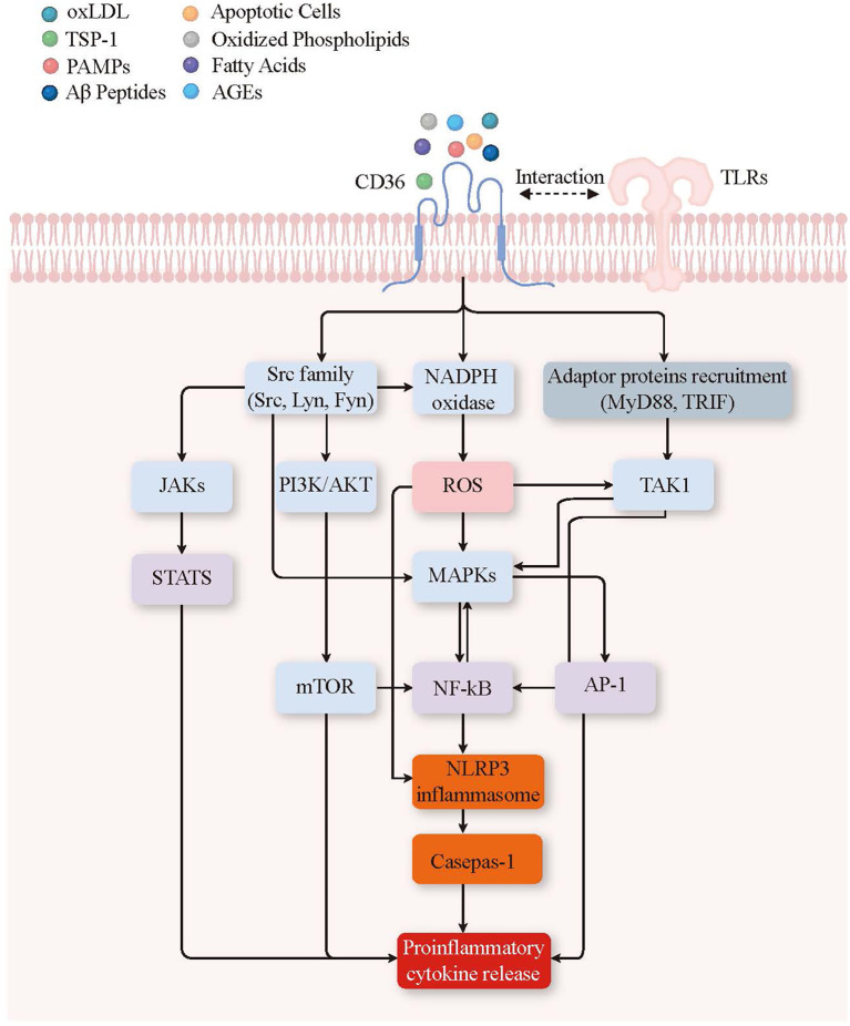 Figure 4