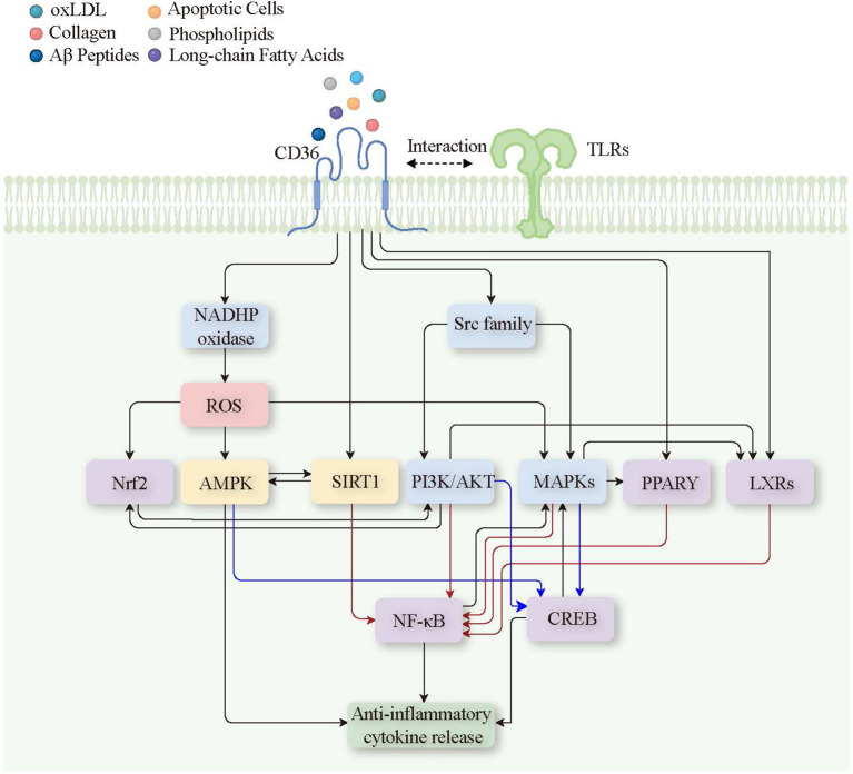 Figure 5