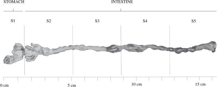 Figure 2
