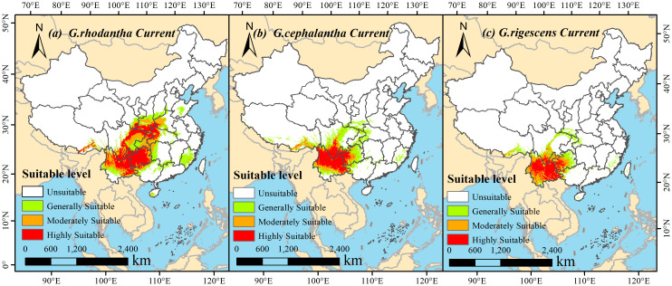 Figure 4