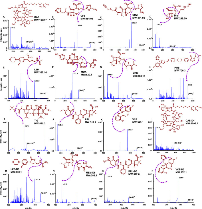 FIGURE 1