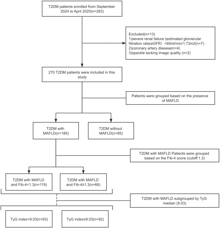 Figure 1