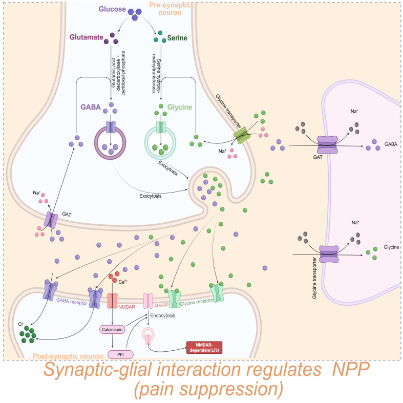 Figure 4