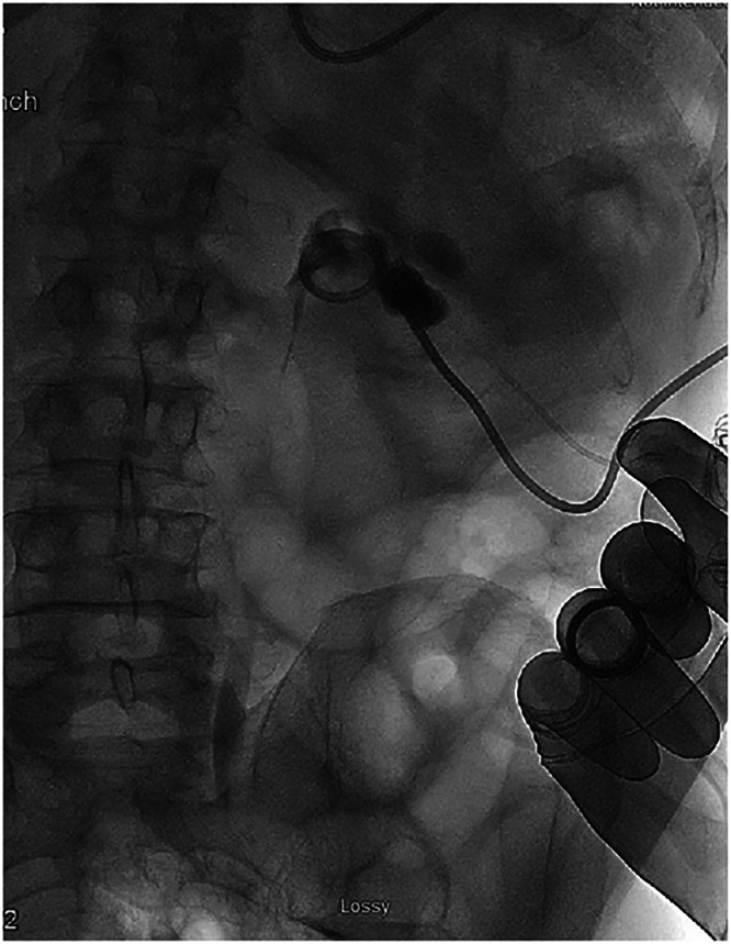 Figure 7