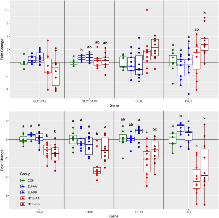 FIGURE 3