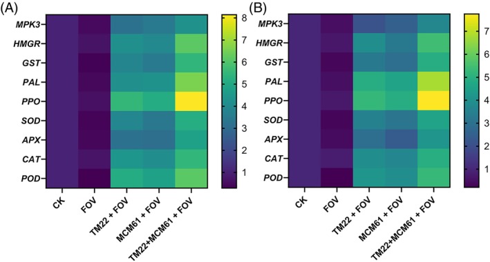Figure 16