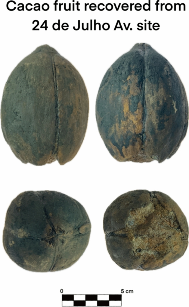 Figure 11