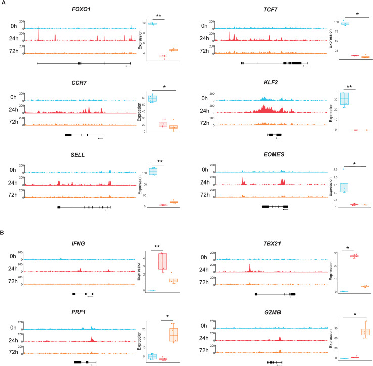 Figure 4