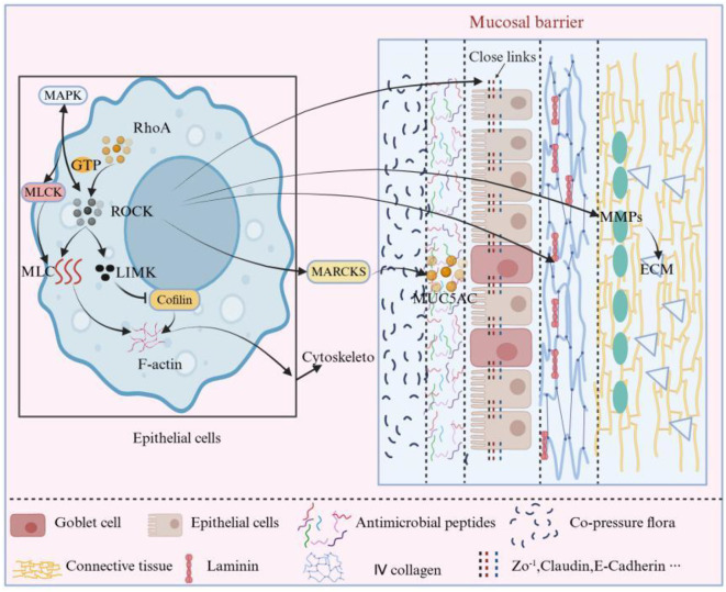 Figure 3